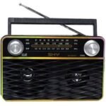 Sky SR-8901BT Battery Operated Rechargeable Bluetooth Radio – (5 in 1) Black