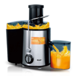 RAF 450Ml Juice Extractor R.2817S Juicer (1 Jar, Silver black)